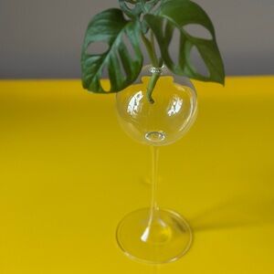 Firelight Glass Hurricane Oil Candle Stick Glass Bud Vase Plant Propagation 8”